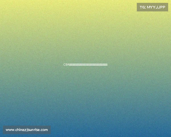 CBA中国男子篮球职业联赛常规赛赛事轮数全面统计轮次数量揭秘