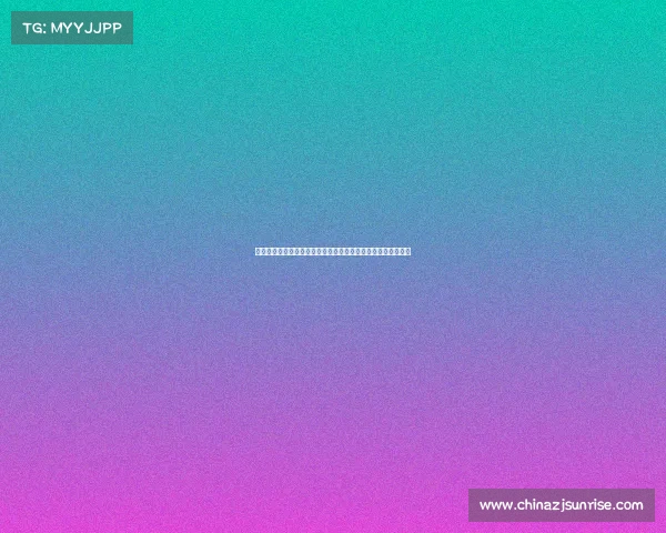 中央海岸水手足球俱乐部二零二三赛季赛事全面回顾与未来展望